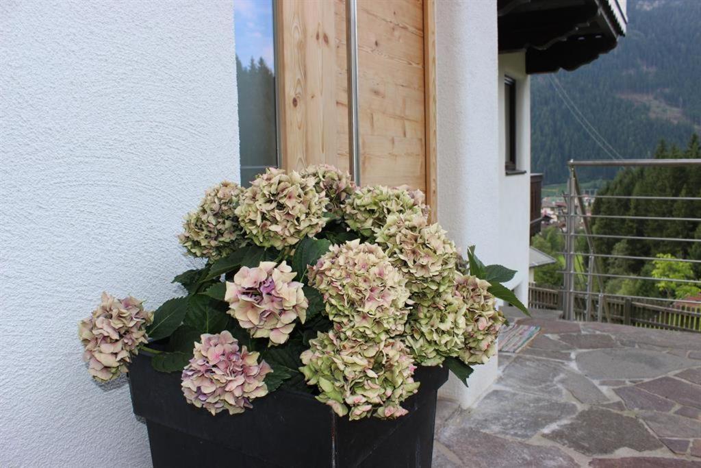 Das Zauberhaft Mayrhofen Eksteriør billede